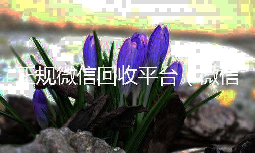 正规微信回收平24小时收微信台（微信回收平台联系方式）